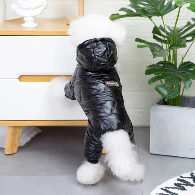Pet dog waterproof autumn winter padded jacket in black cotton four-legged coat on white background