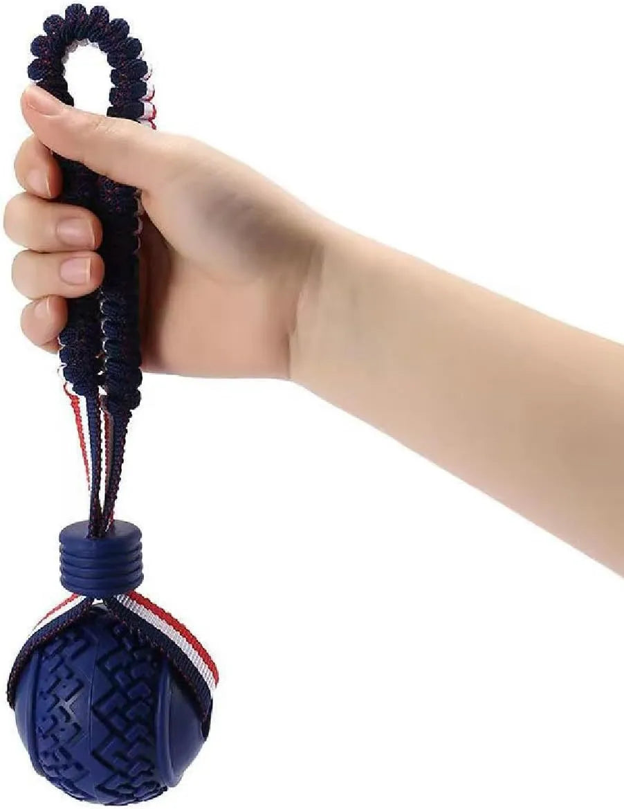 Blue dog ball with rope toy showing textured rubber surface and rope attachment