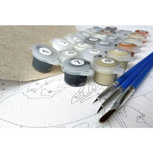 DIY painting by numbers kit for scared surprised cat art with canvas, acrylic paints, and brushes