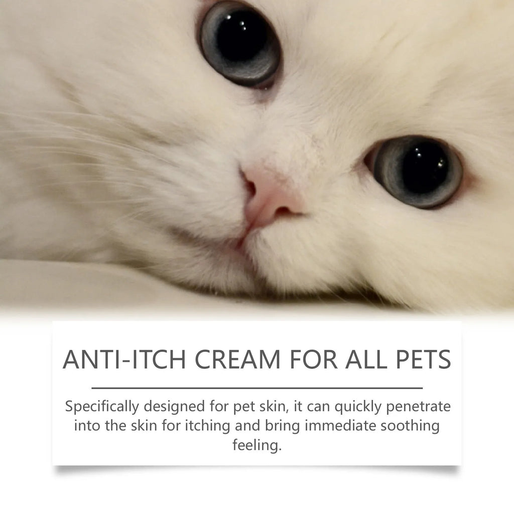 60g tube of cat antipruritic cream with natural extracts for itch relief.