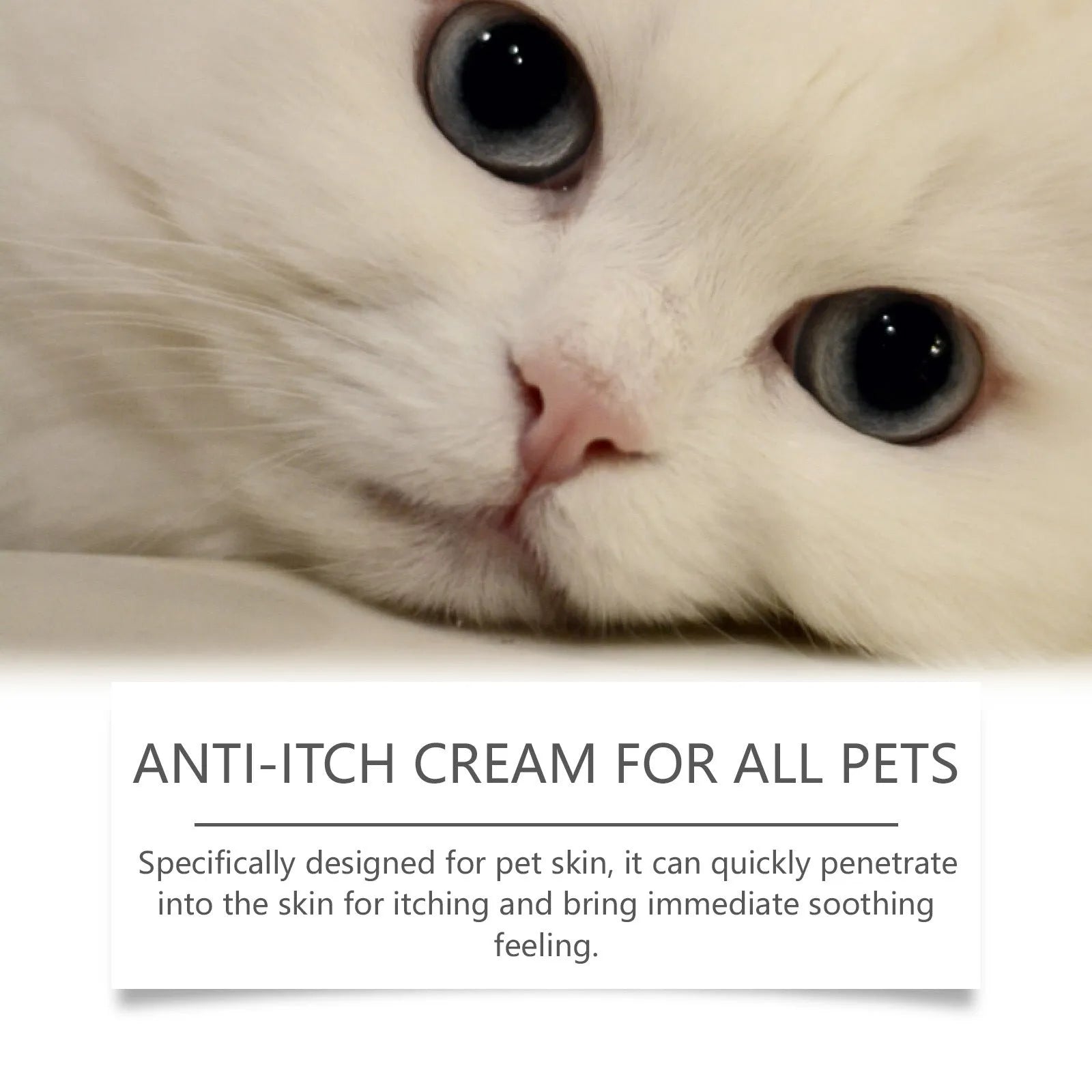 60g tube of cat antipruritic cream with natural extracts for itch relief.