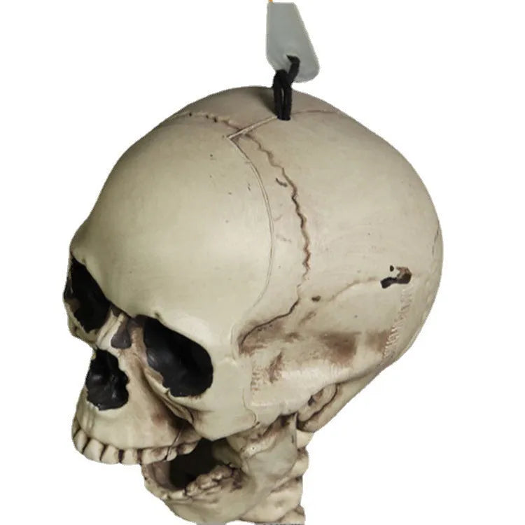 Full-size 170 cm plastic skeleton prop with realistic anatomical bone structure details