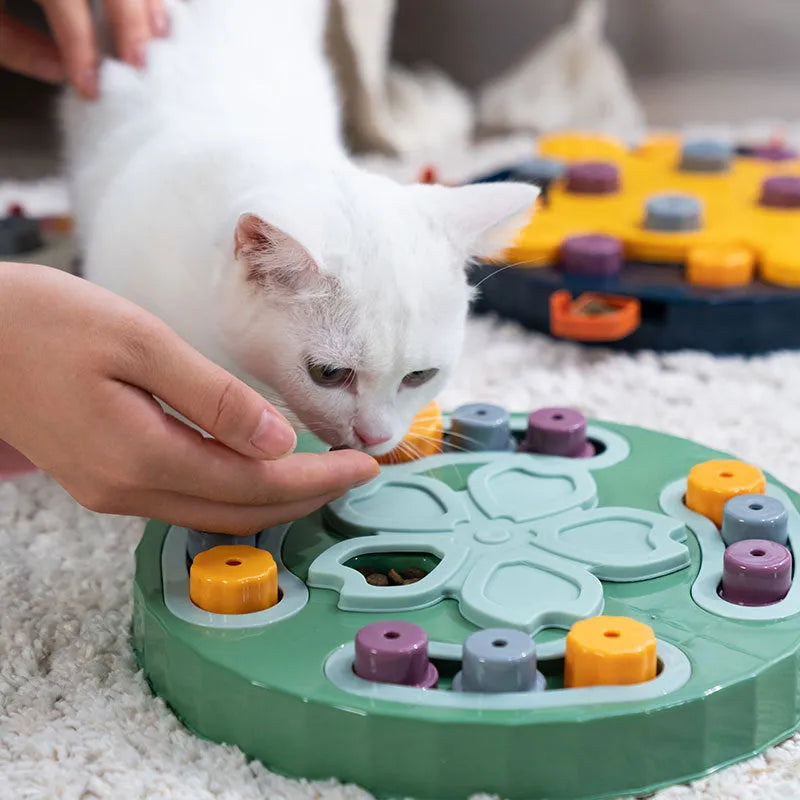 Dog slow feeder interactive bowl with maze pattern in blue, green or pink colours