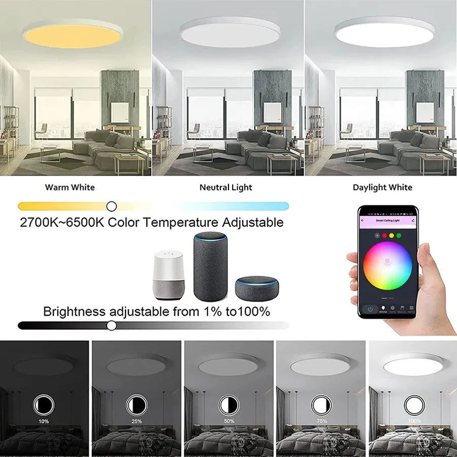 Graffiti WiFi smart ceiling light with RGB colour modes and simple modern design for bedroom