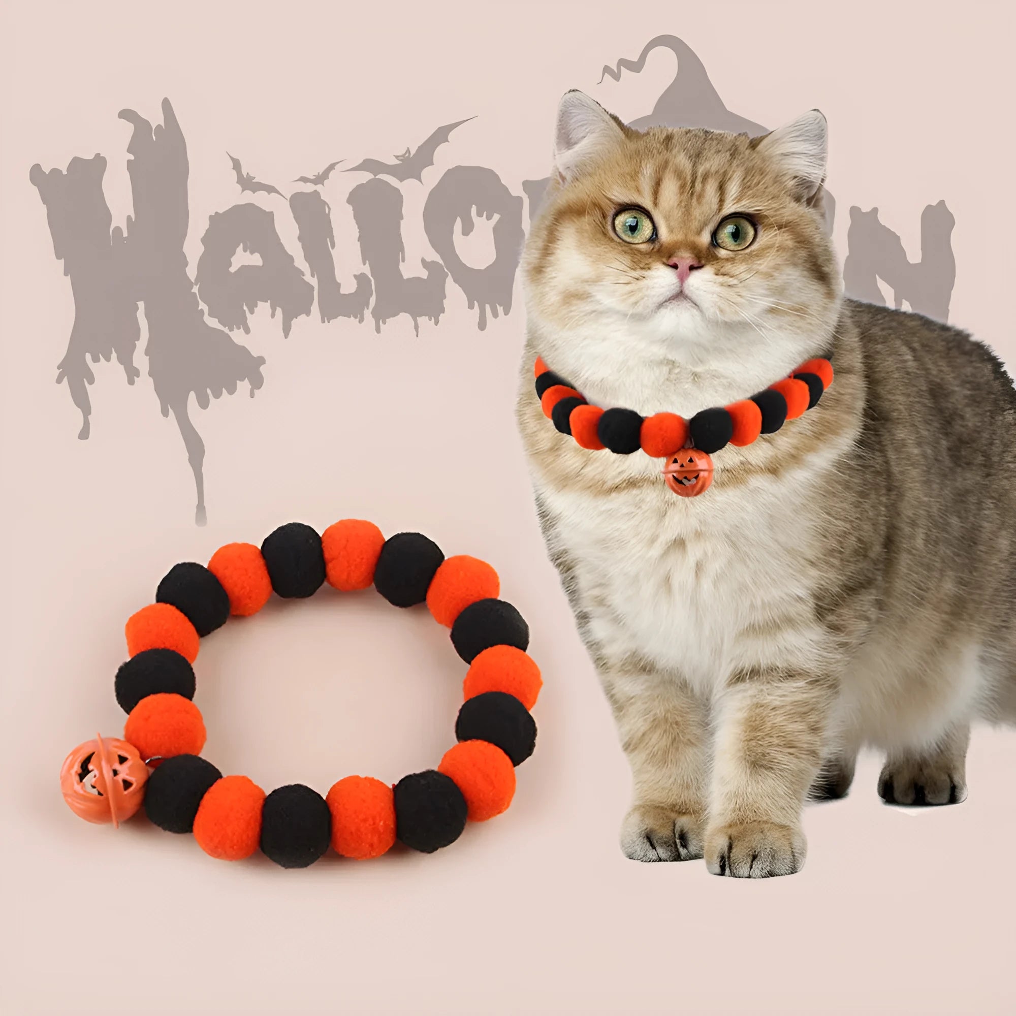 Orange pumpkin-patterned adjustable cat collar for Halloween worn by a cat.