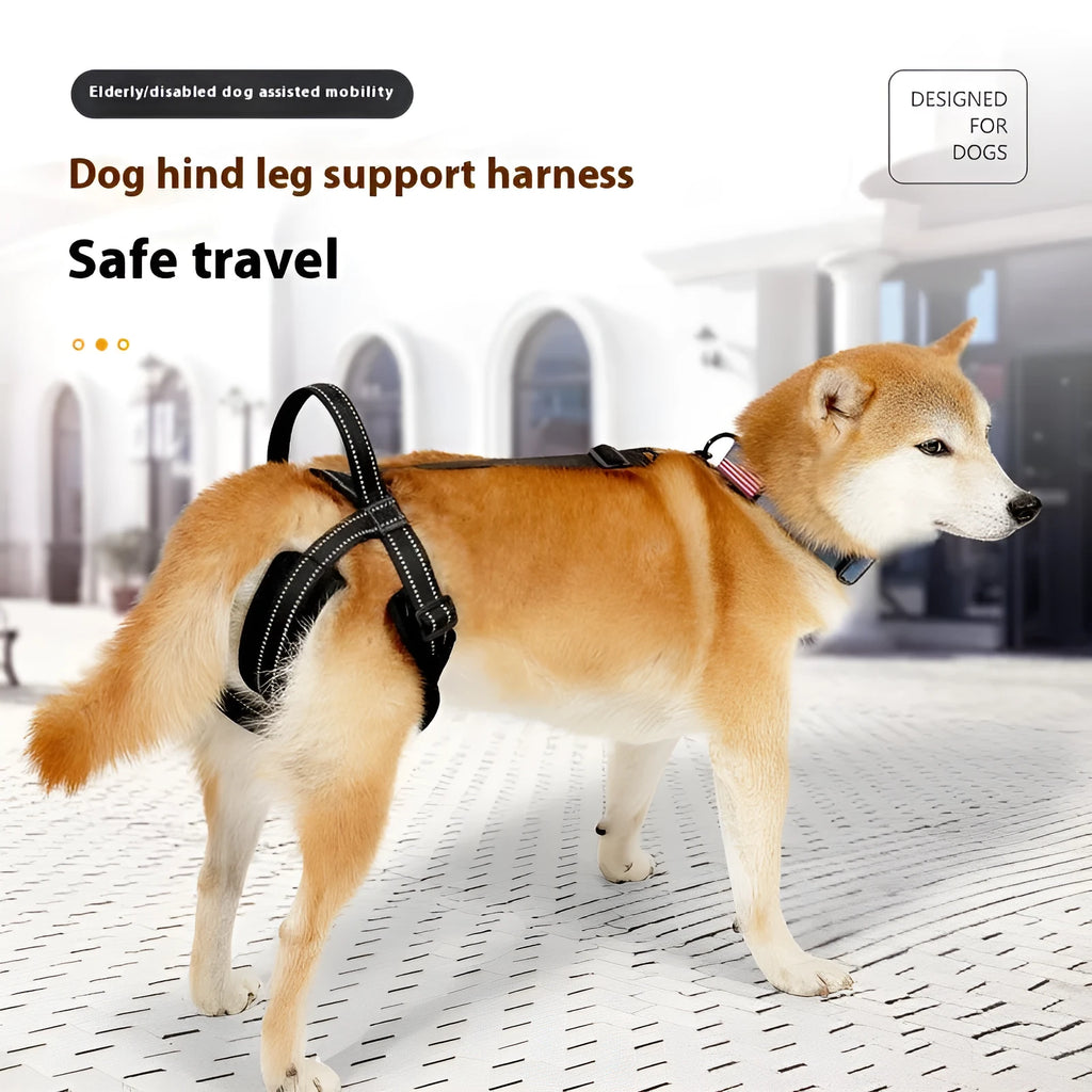 Black polyester pet rehabilitation hind legs auxiliary strap on a flat surface, with size label visible