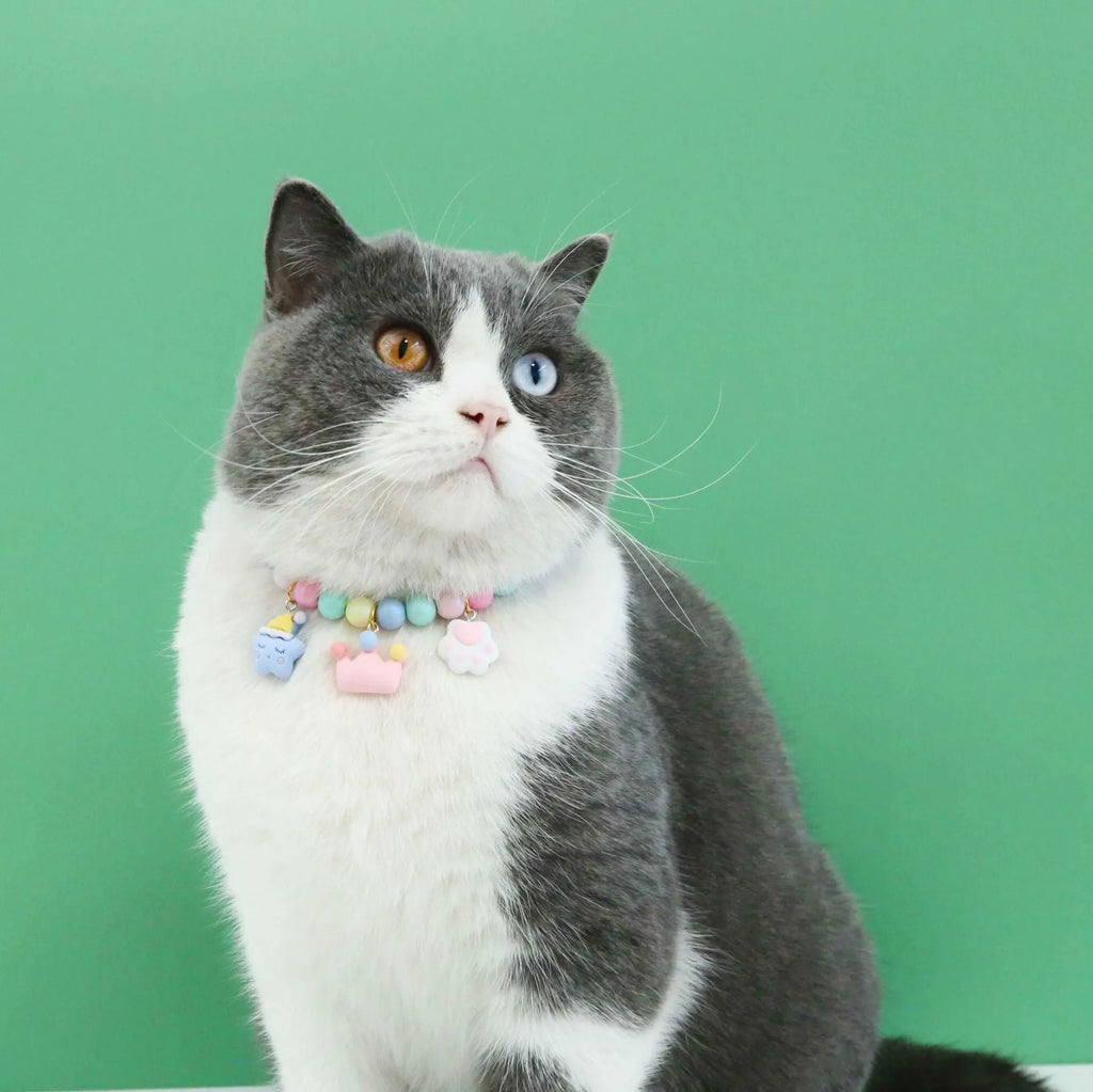 Resin pet headdress and necklace set in macaron colours on a cat or dog, showing moon and crown designs.