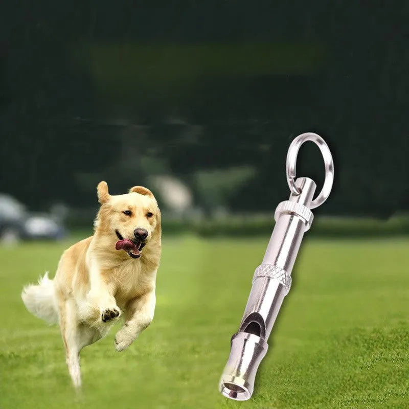 Metallic-coloured adjustable ultrasonic dog training whistle made from brass electroplated nickel.
