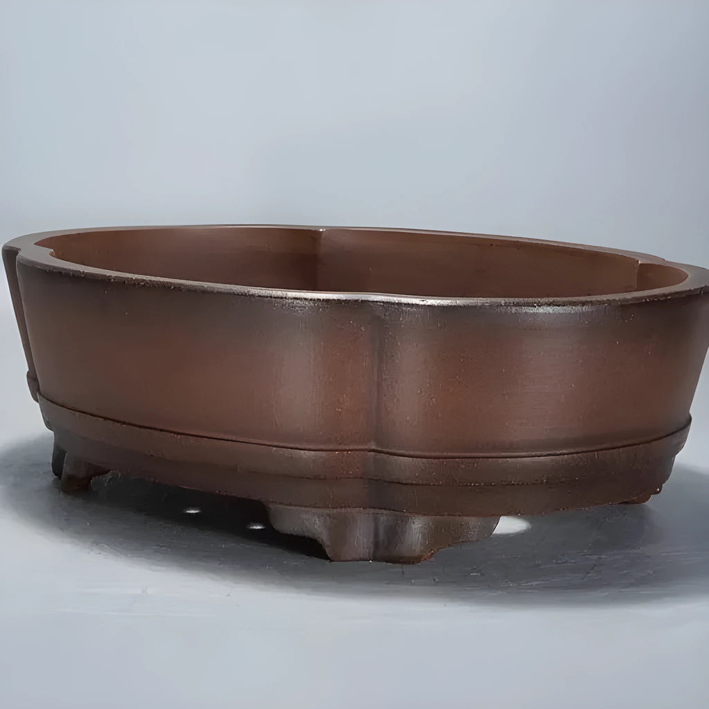 Large classical purple clay bonsai pot with simple green plant styling.