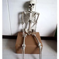 Full-size 170 cm plastic skeleton prop with realistic anatomical bone structure details