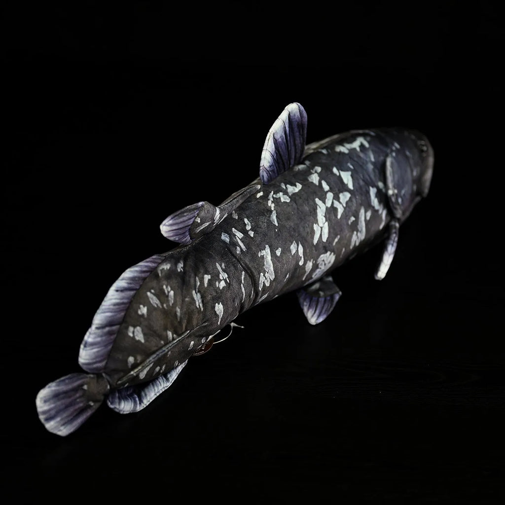 52cm printed coelacanth plush toy in black, made of soft plush and PP cotton filling