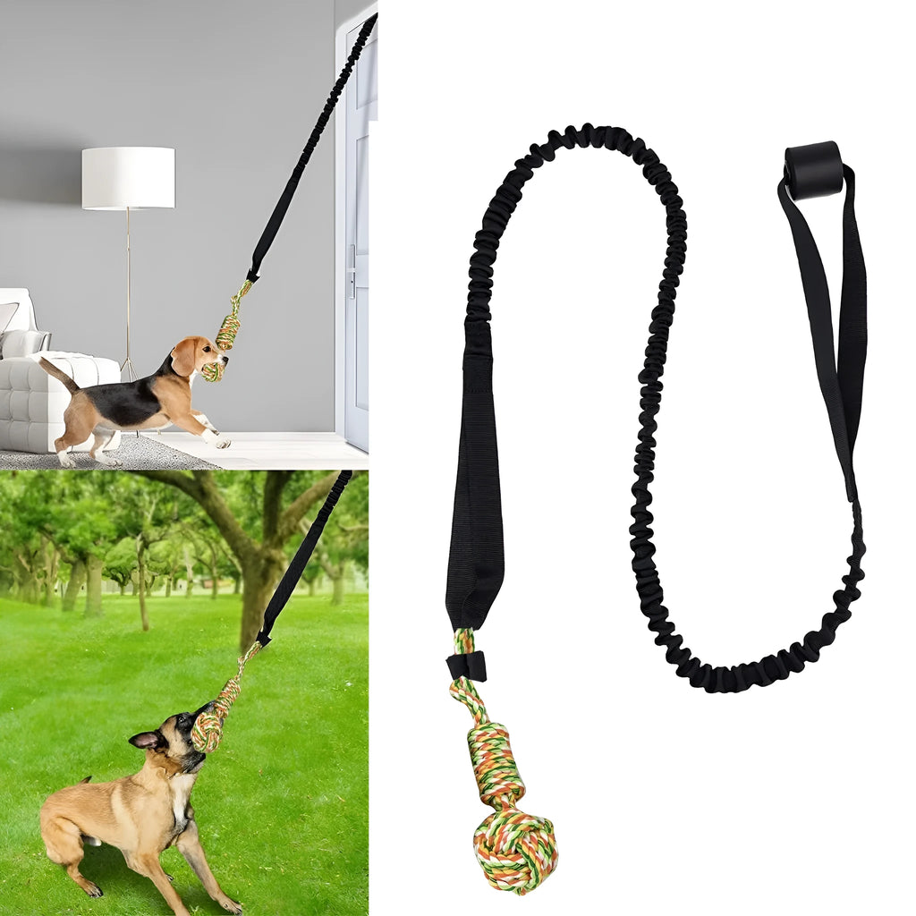 A black, grey, or red cotton rope dog tug of war toy for interactive play.