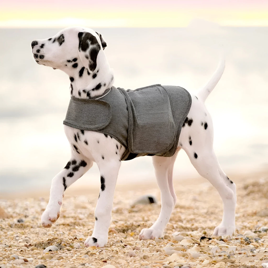 Heather Gray dog anxiety jacket and warm vest for small to extra large dogs.