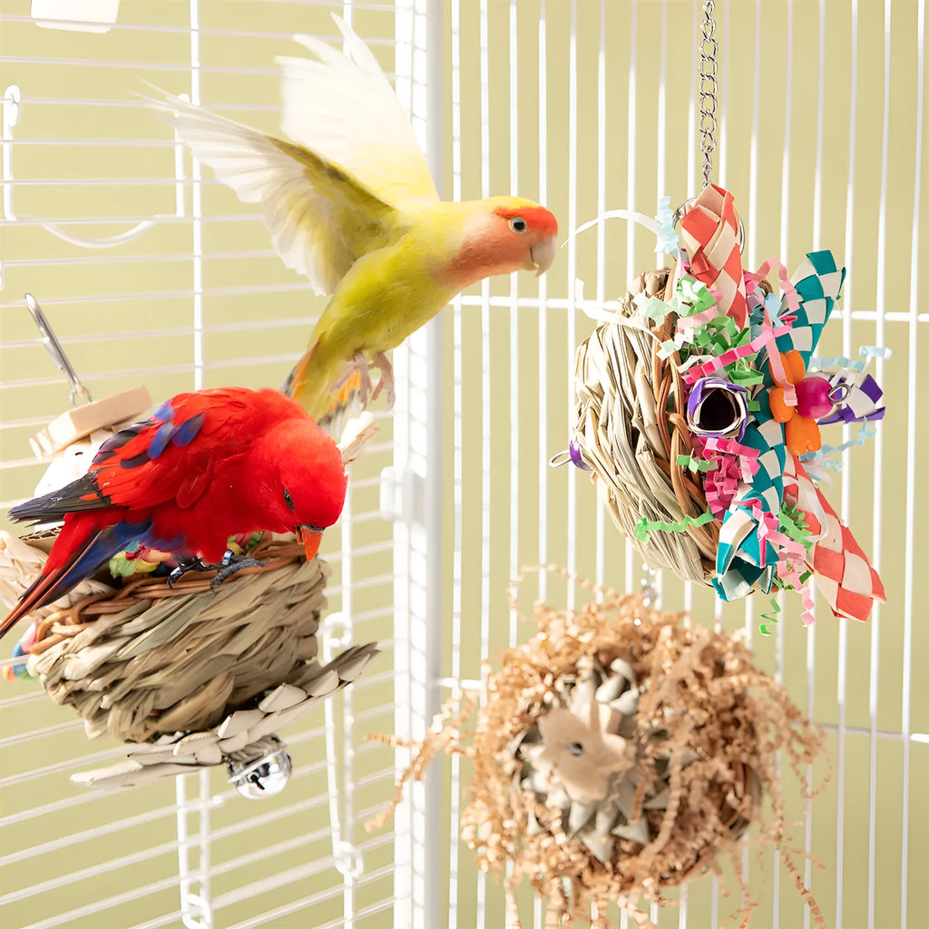 Parrot gnawing molar toy with wooden chewing pieces and plastic components for bird enrichment