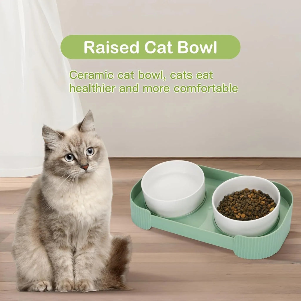 Ceramic elevated cat bowls with 15 degree tilted stand in green, white and yellow colours