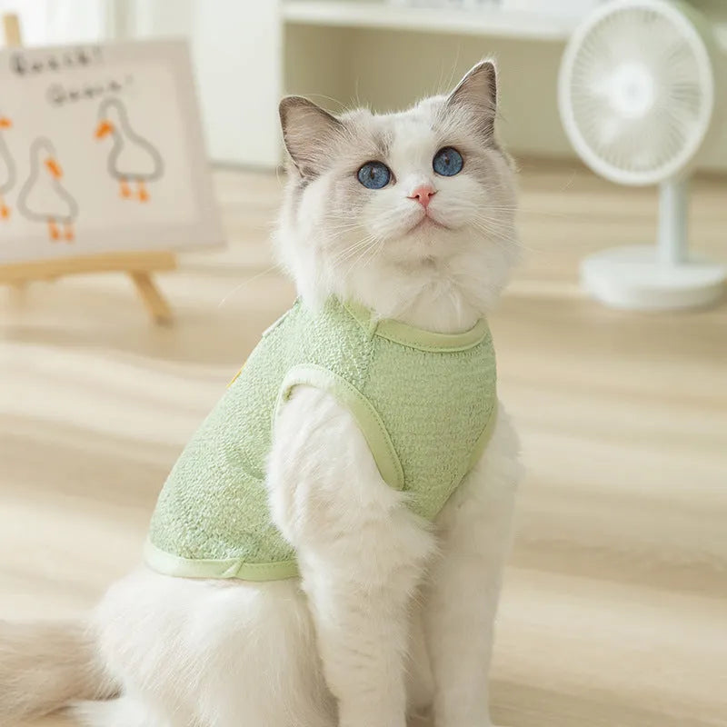 Cat wearing hollowed-out knitted clothes with bear patch decoration in blue colour