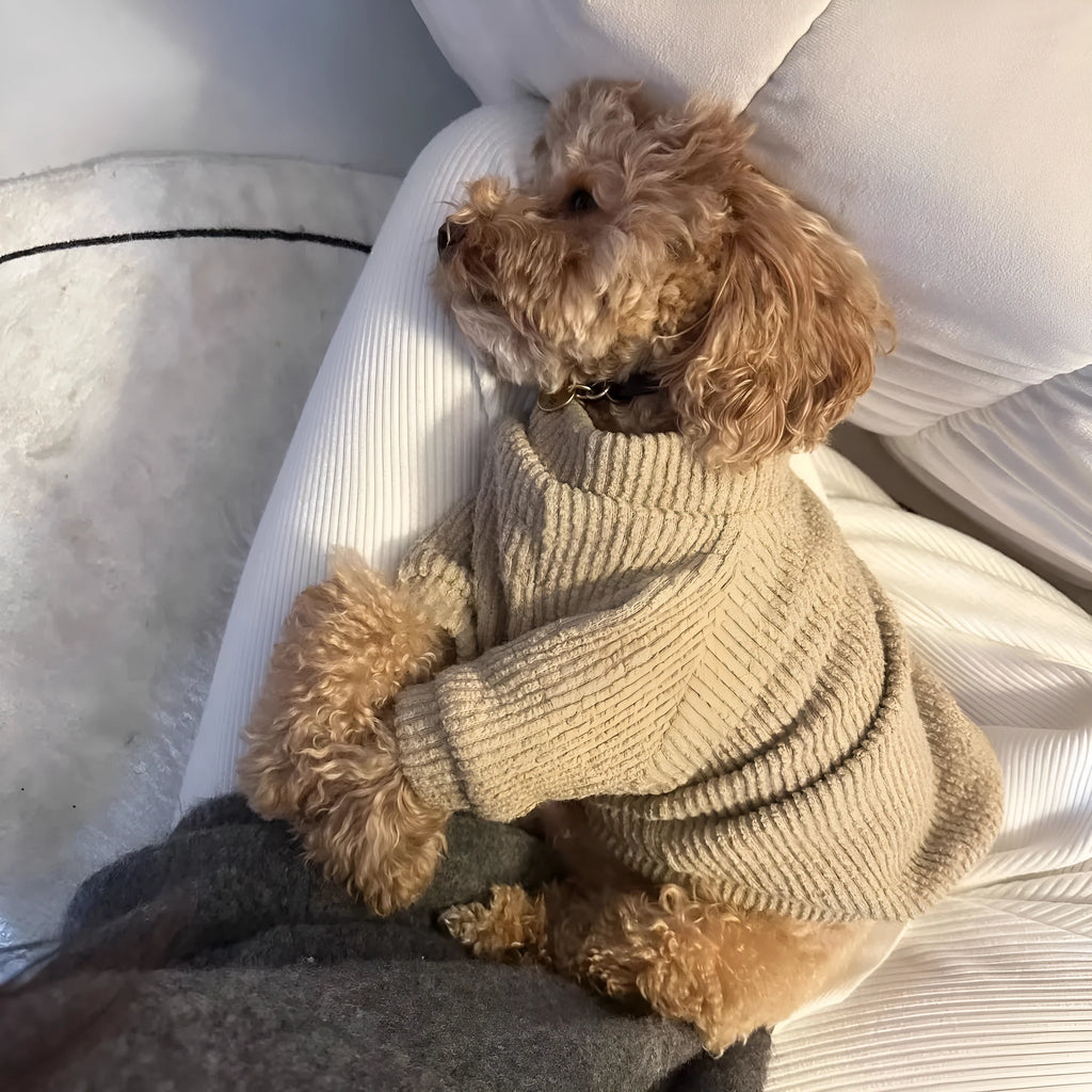 A brown knitted pullover sweater for a small dog on a mannequin.