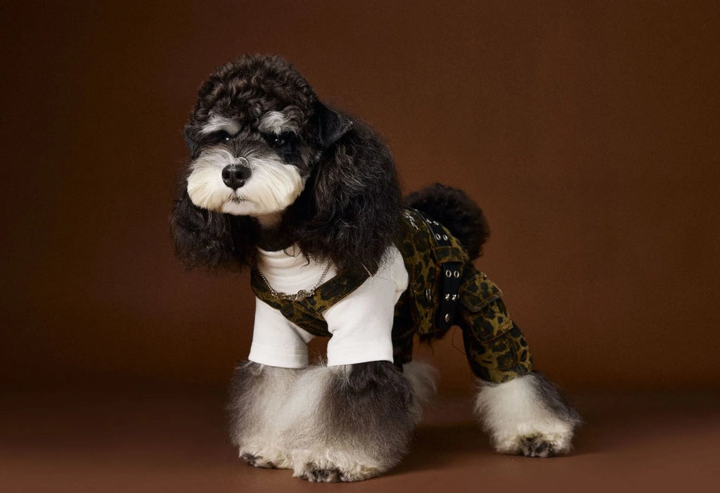 Leopard print cotton dog overalls for autumn in suspender style, sizes XS to XXL