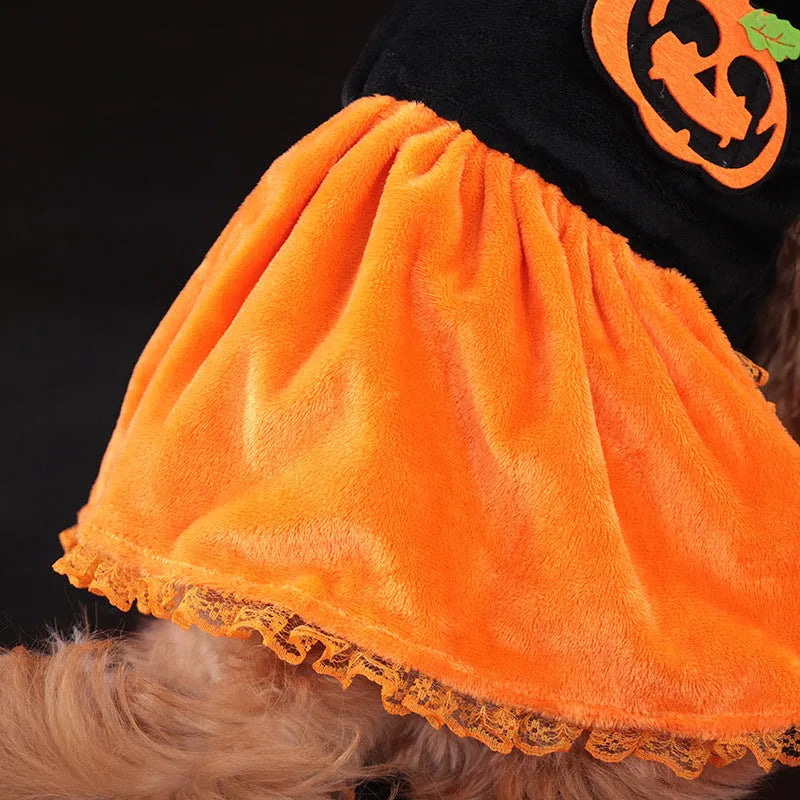 Halloween pet costume: orange pumpkin skirt and sweater for dog or cat made from crystal velvet fabric