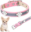 Reflective leather dog collar with paw-shaped rivets and adjustable metal buckle