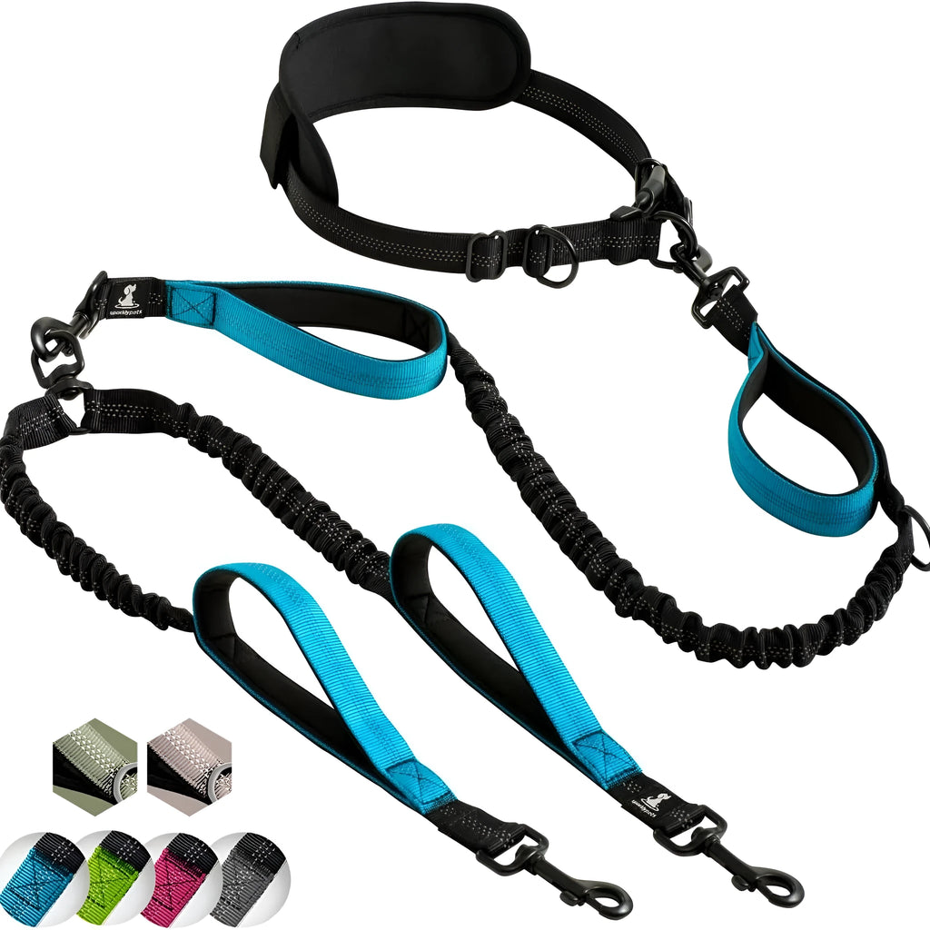 Nylon multifunctional dog traction belt with black and blue colour, 135cm waist belt circumference