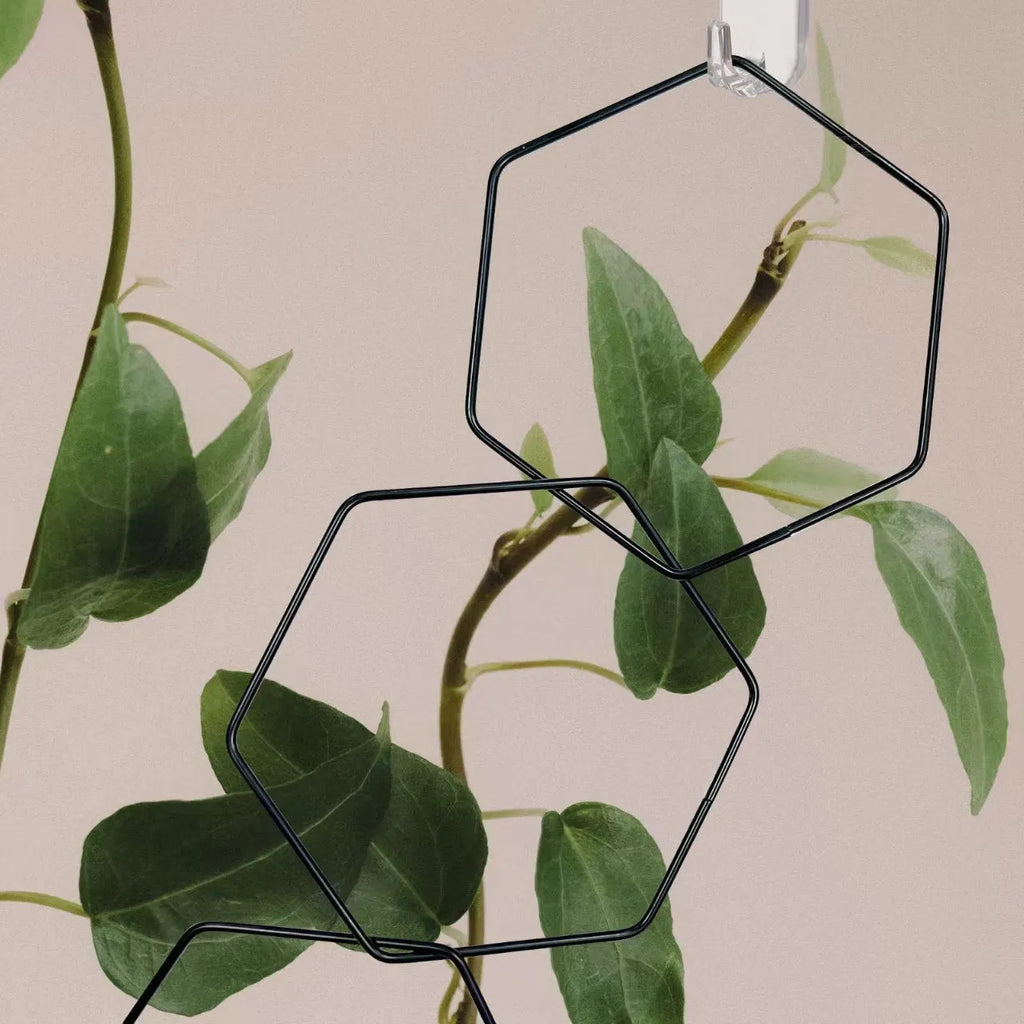 Hexagonal iron ring plant flower rack with 18 hooks, foldable metal climbing frame for plant display