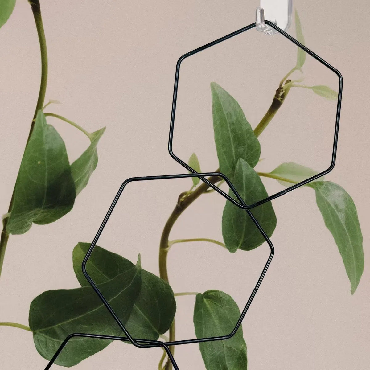 Hexagonal iron ring plant flower rack with 18 hooks, foldable metal climbing frame for plant display