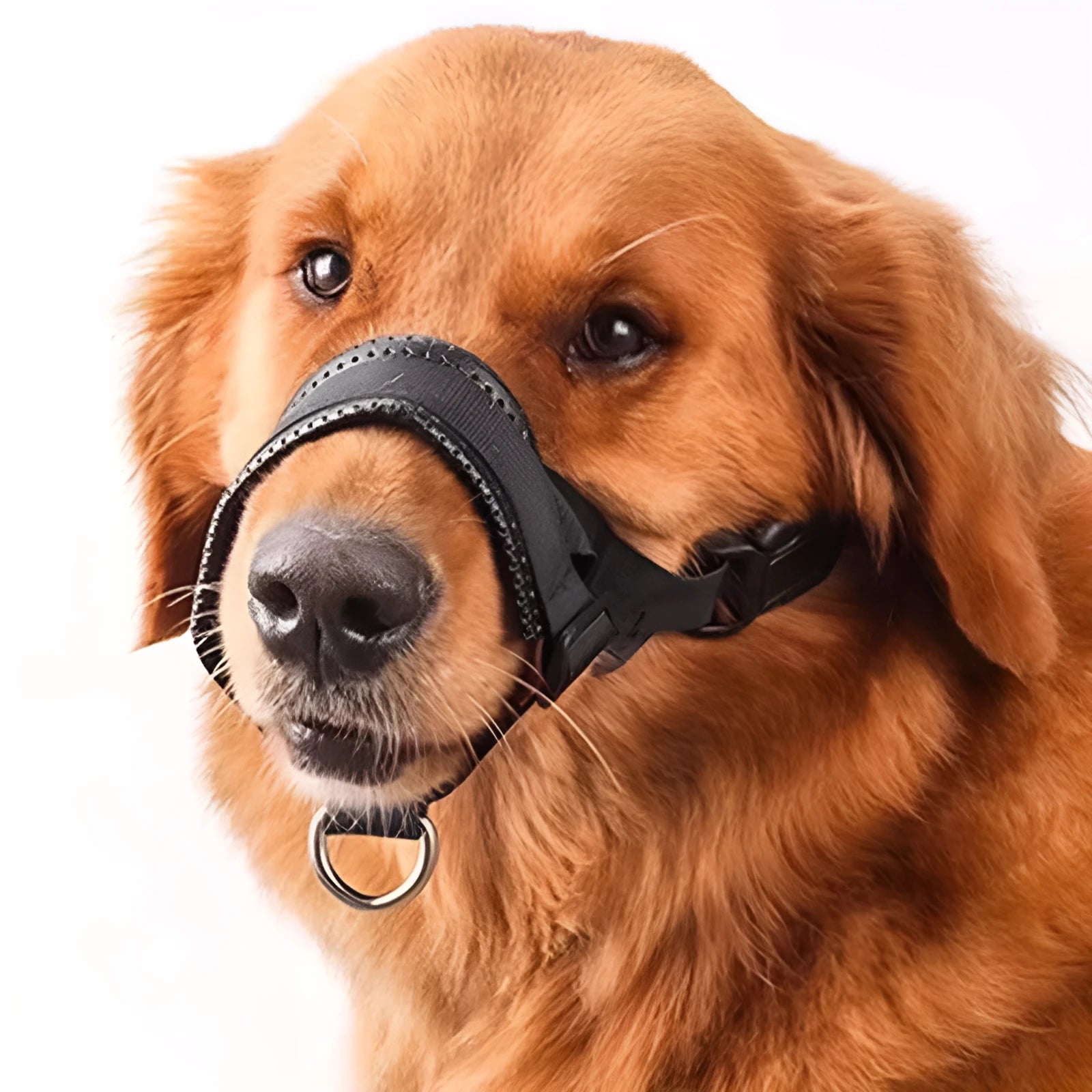 Nylon dog mouth cover anti bite anti bark adjustable muzzle in black with breathable holes