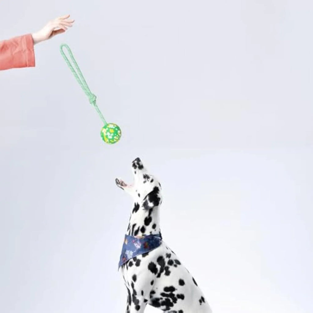 Natural rubber dog ball on rope toy for medium and small dogs with nylon rope attachment
