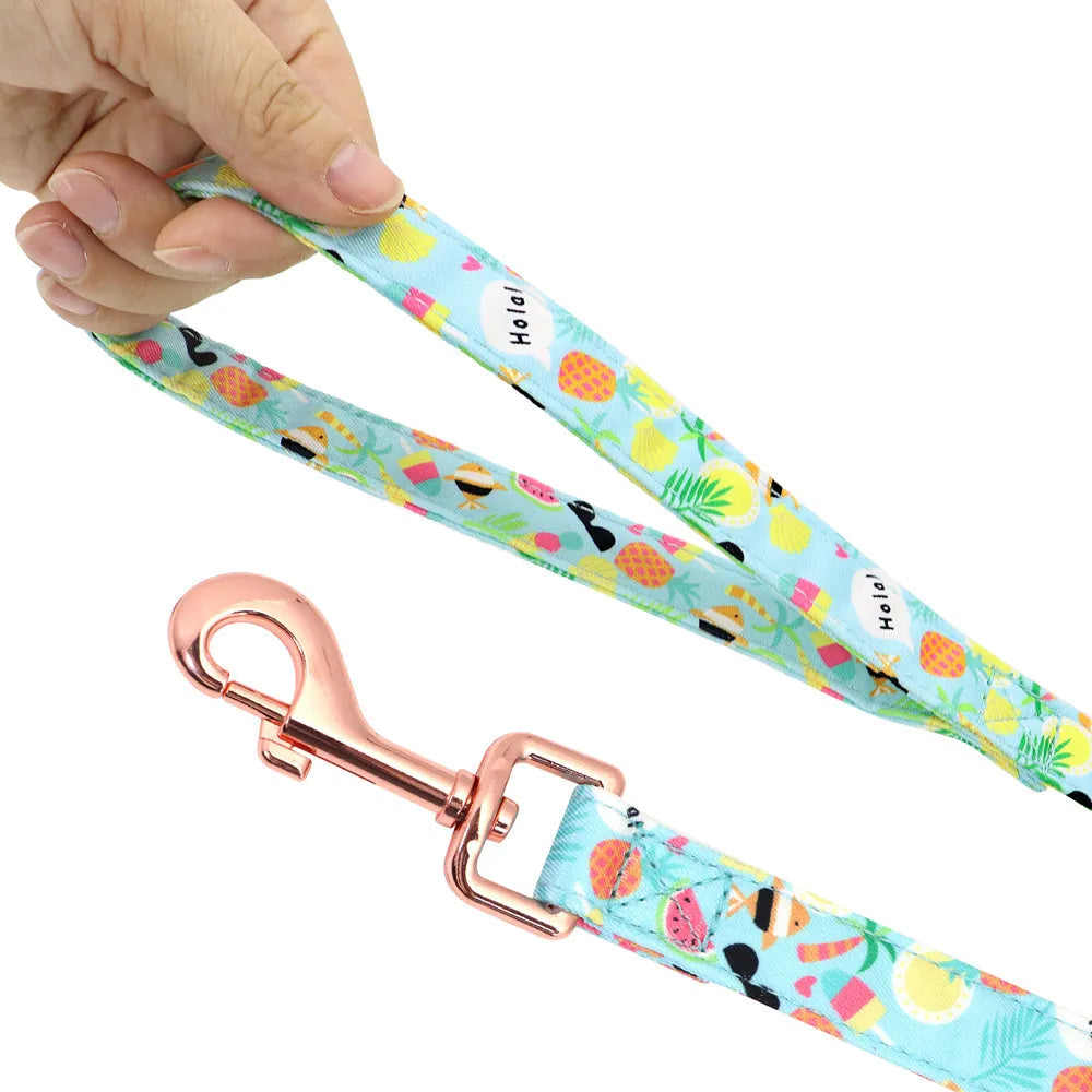 Small dog collar and lead set in polyester with collar, tow rope and strap, adjustable, blue green red yellow, sizes S M L