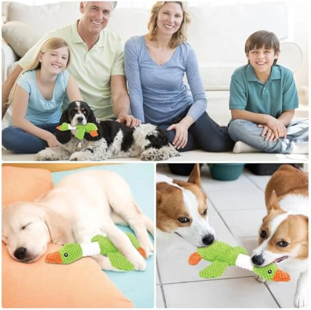 Blue duck-shaped dog plush toy with squeakers for chewing and play