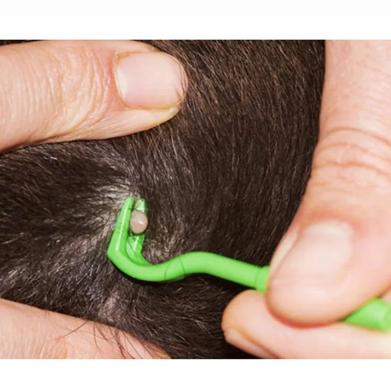 Three plastic tick removal hook tools for pets in blue and green colours