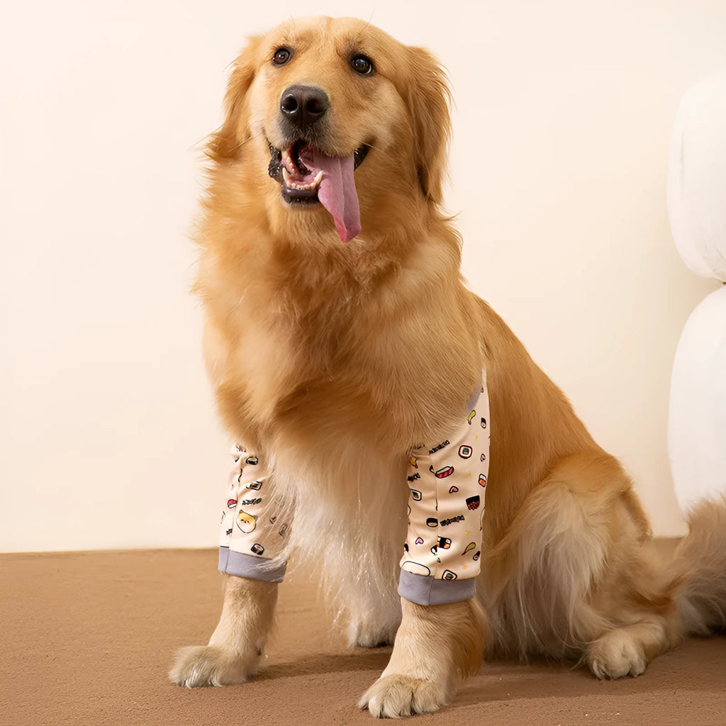 Blue adjustable dog knee protector wrap with a matching scarf on a medium-sized dog