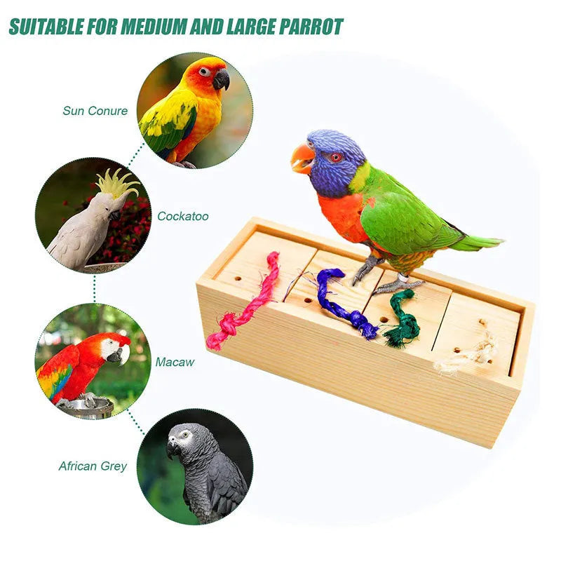 Wooden parrot puzzle toy pieces for bird foraging and training enrichment.