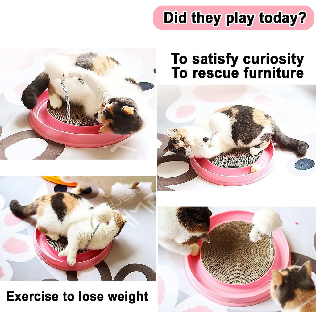 Blue circular cat scratcher toy with ball track and replaceable cardboard scratching surface