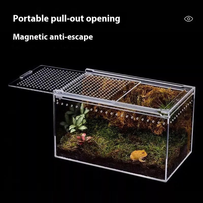 Clear acrylic reptile feeding box with five size options for different reptile species