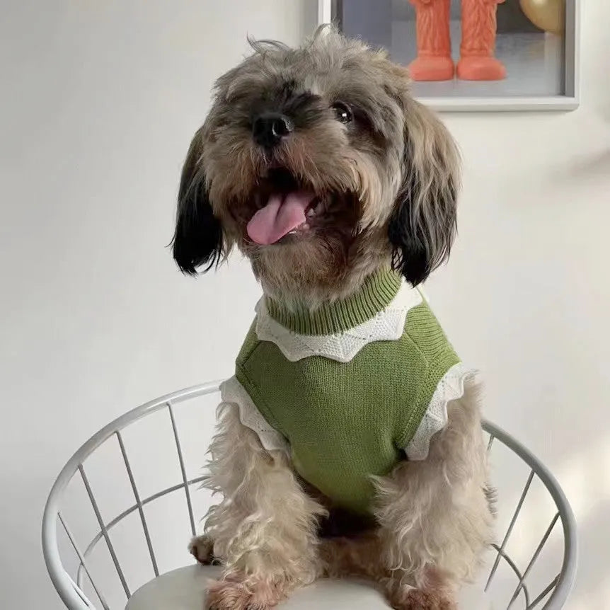 Green floral print knitted sweater for a small dog showing the fit and blossom pattern.