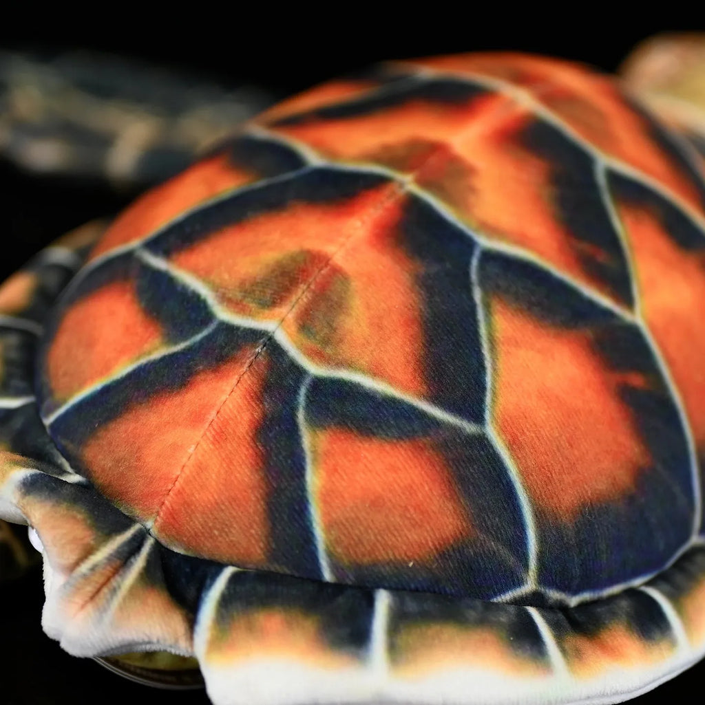 Brown turtle plush toy 32cm from mouth to tail with soft plush fabric and PP cotton filling