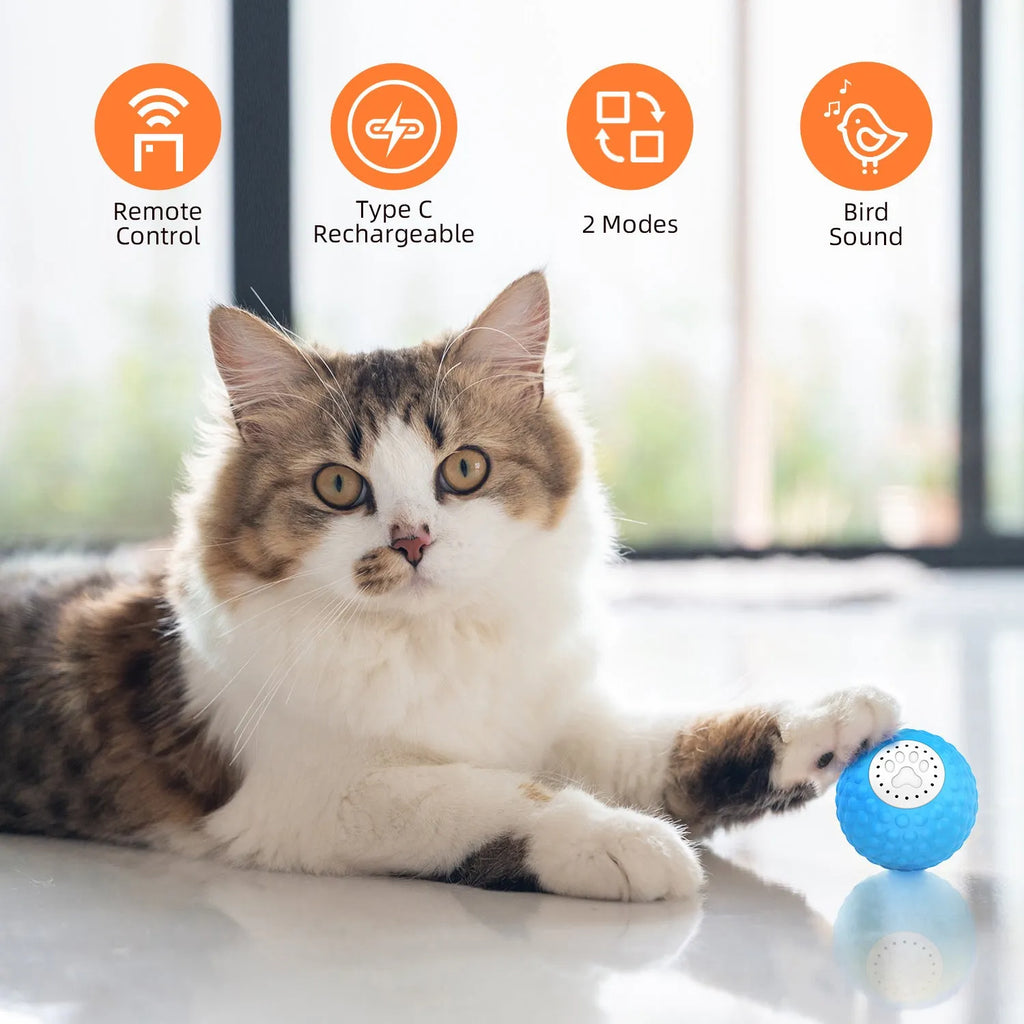 Remote control cat ball toy in blue, green and yellow colours with wireless controller