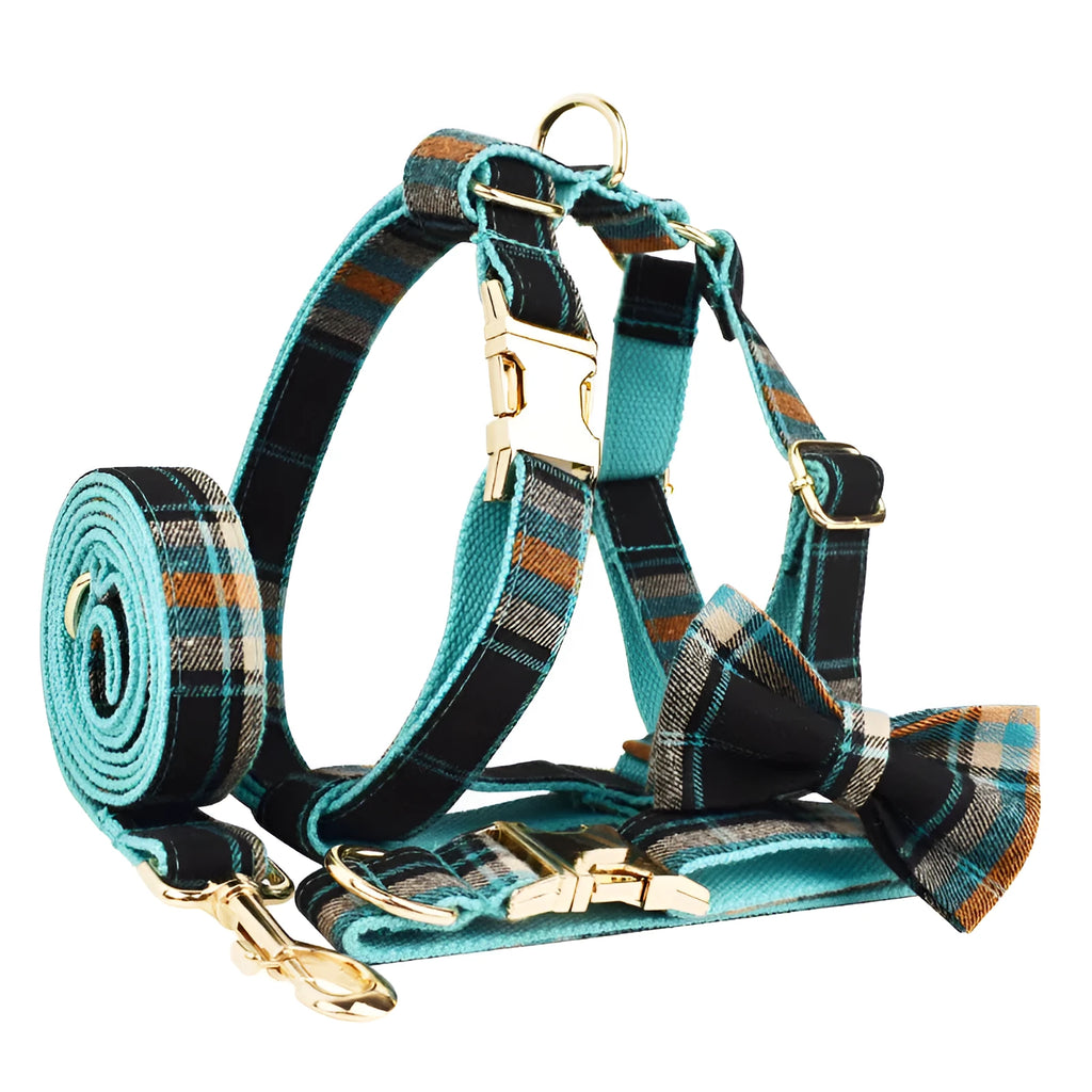 Retro green cloth dog collar leash set with matching vest and bow tie on white background
