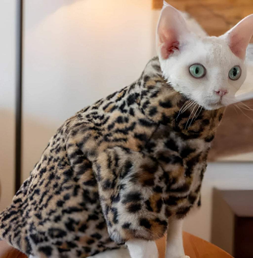Fluffy leopard print short plush cat coat for hairless cats, sizes M to XL, warm pet apparel.