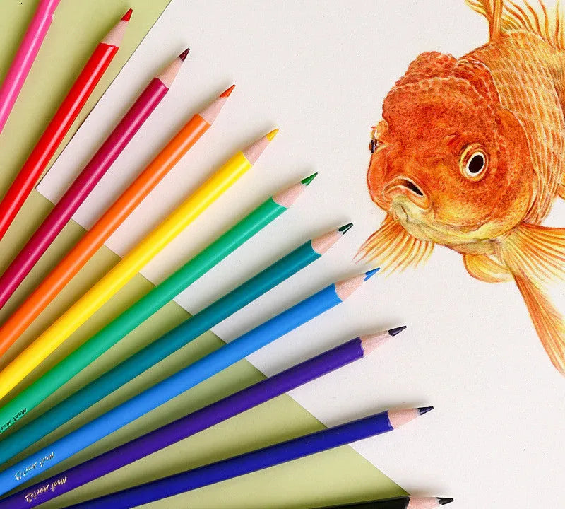 24-colour wooden pencil set with cartoon designs in paper packaging for training organisation