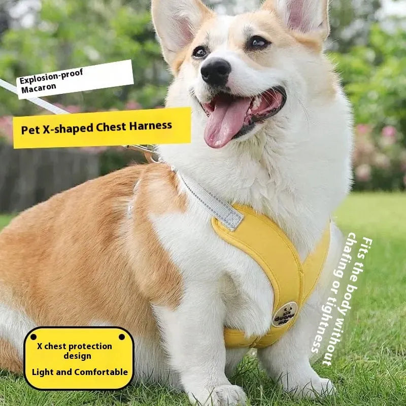 Polyester dog vest and hand-holding rope set in blue, green, pink, or yellow.