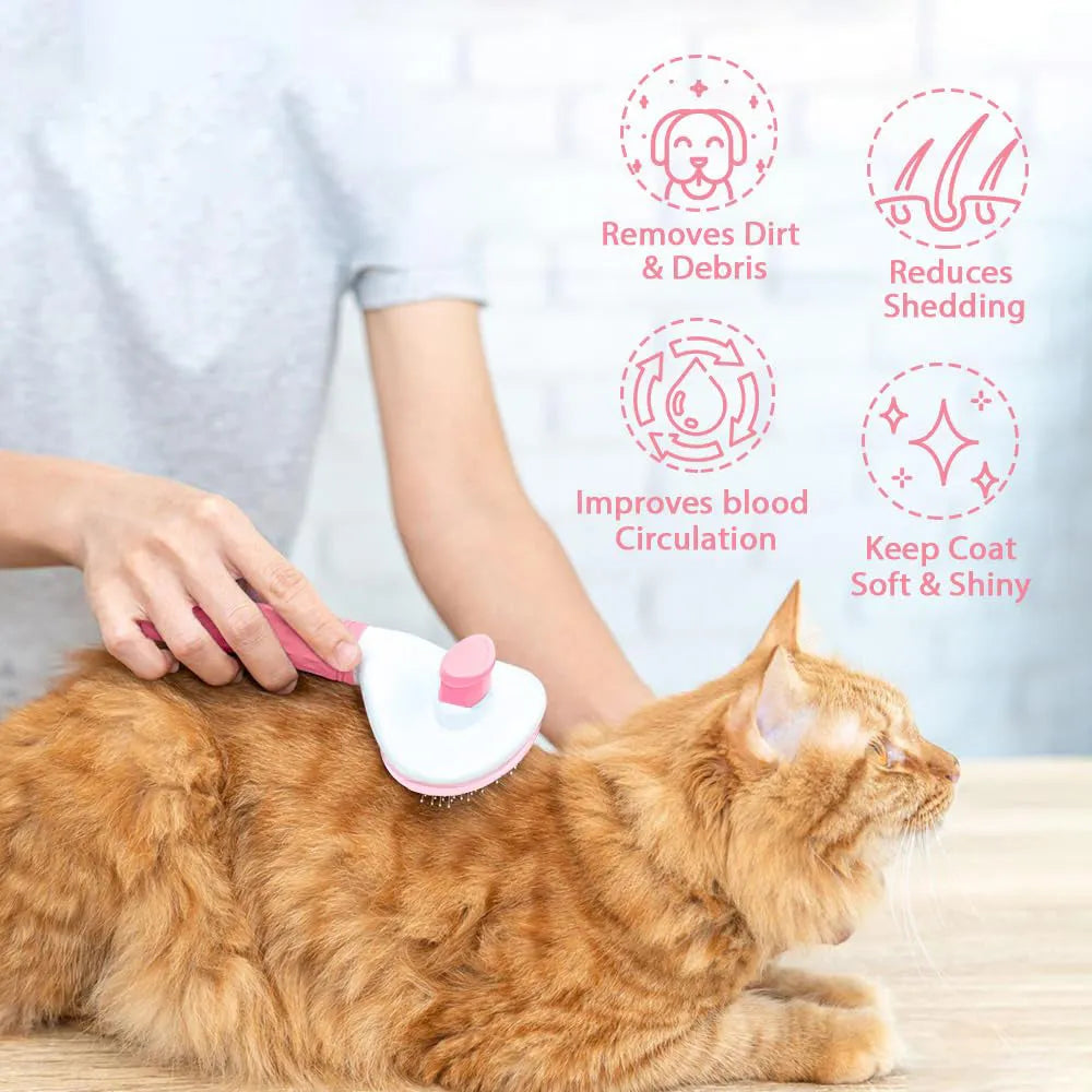 Blue cat grooming brush with release button for removing loose fur from indoor cats