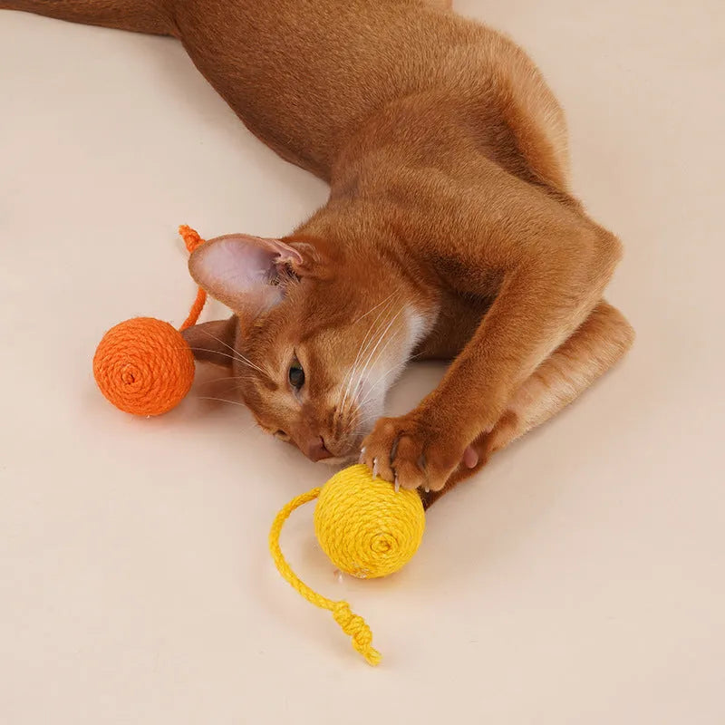 Cat toy set with blue teaser wand featuring a catnip ball and a separate self-play toy on a white background.