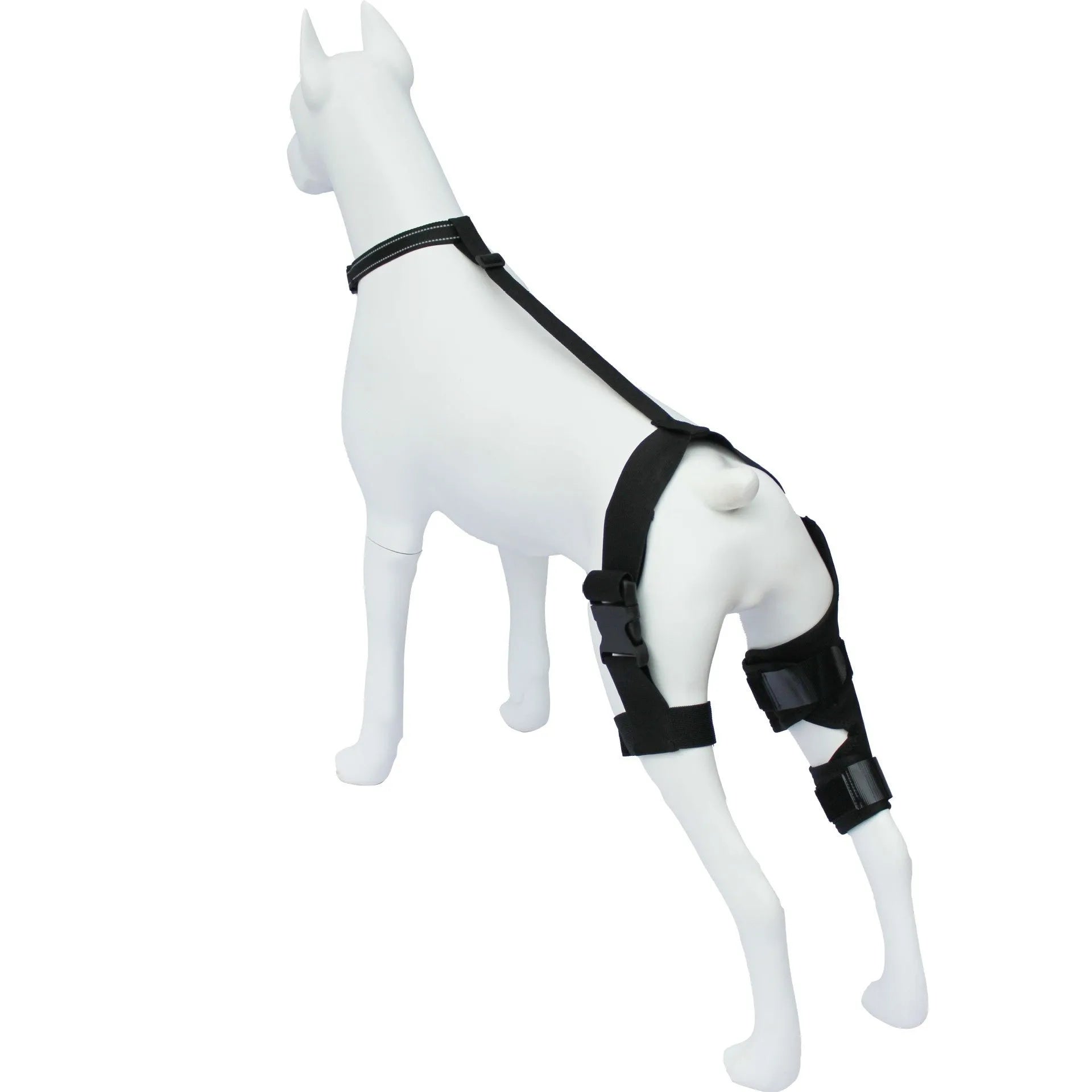 A neoprene dog hind leg knee brace assist strap shown in multiple colours including black, blue, and orange.