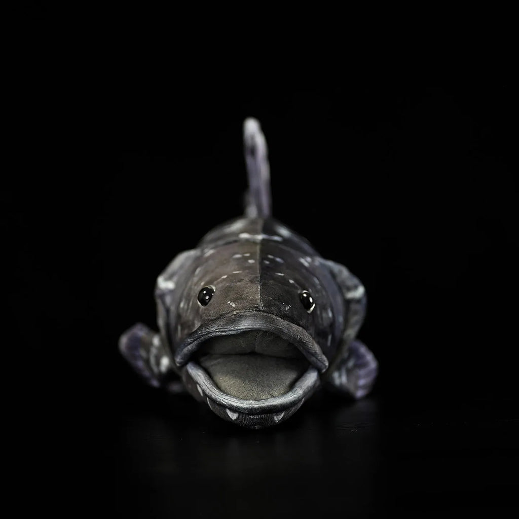 52cm printed coelacanth plush toy in black, made of soft plush and PP cotton filling