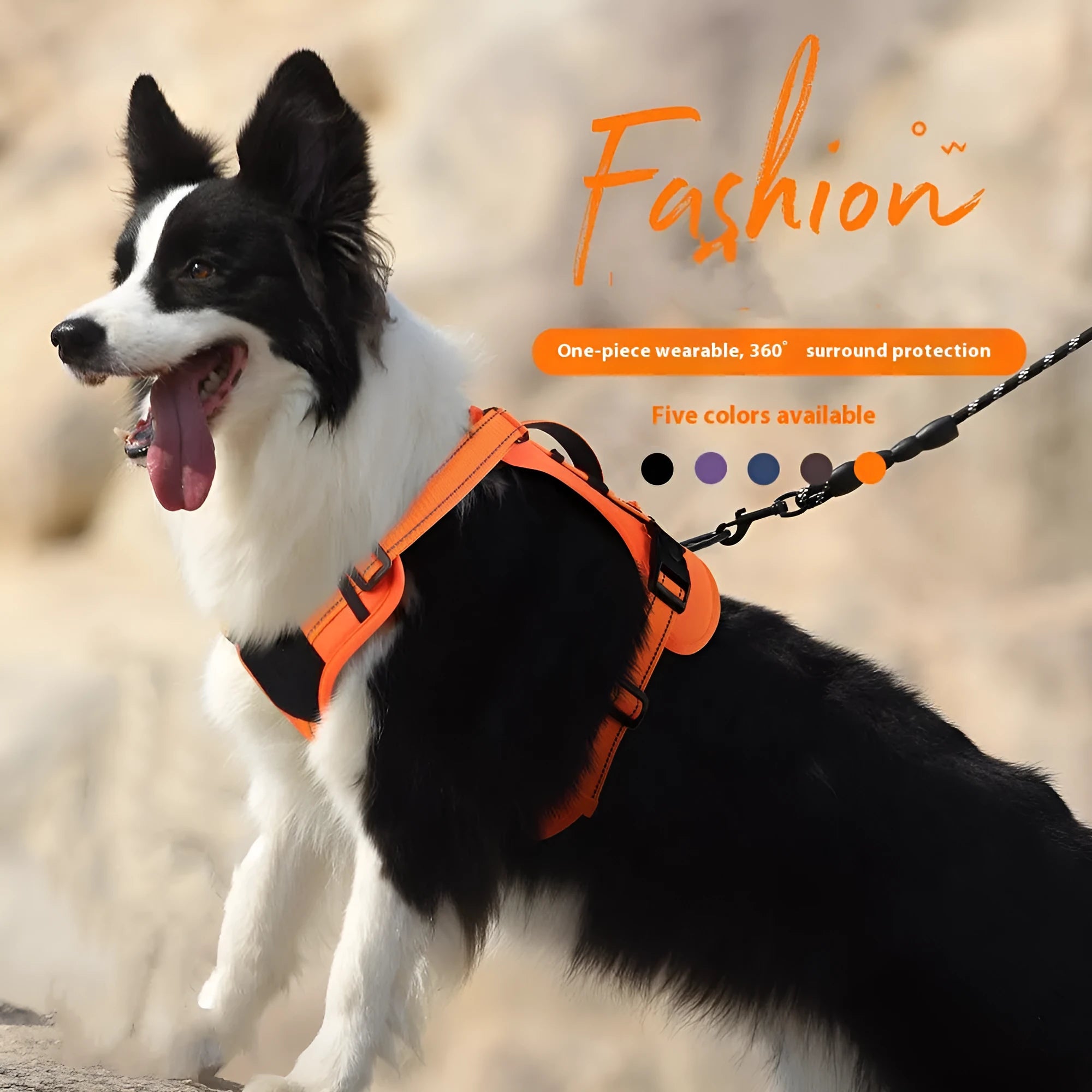 Orange reflective dog vest harness with a black hand-holding rope, shown on a medium-sized dog.