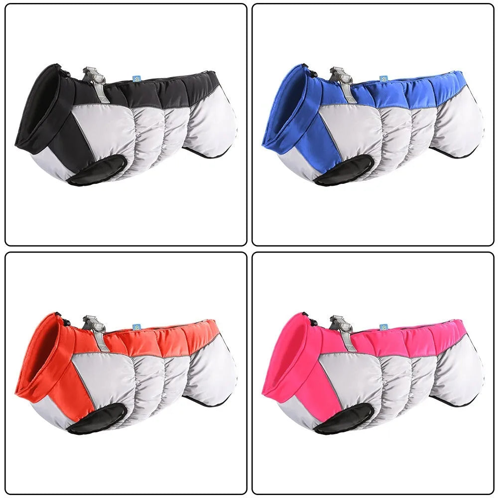 Large dog wearing waterproof reflective winter coat in polar fleece material