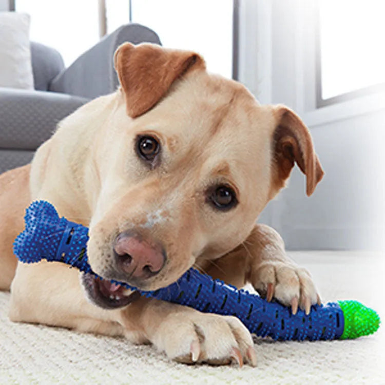 Blue and green silicone dog dental toy with brush head texture, nodules, and an integrated rope for chewing and play.